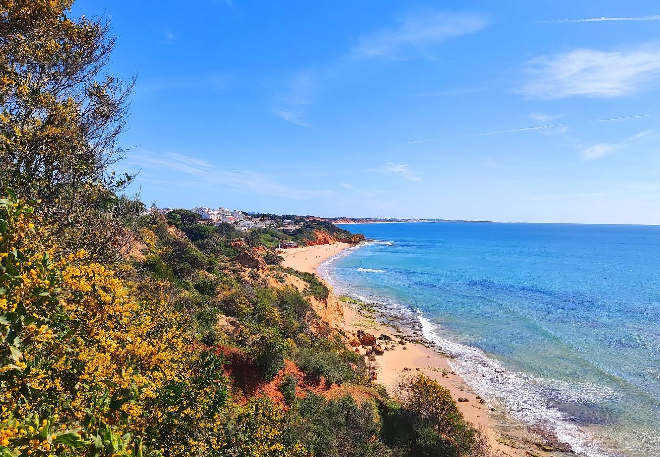 Ferienwohnung in Albufeira - Lovely Gem with Atlantic Ocean View by Be Cherish