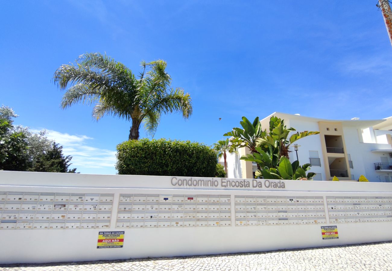 Appartement à Albufeira - Albufeira Orada Sea View by BeCherish