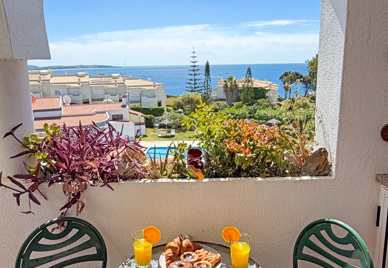 Appartement à Porches - Palmtree Ocean View Condo By BeCherish