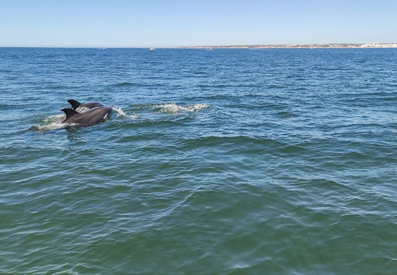 Apartamento em Albufeira - Garden View Condo by Be Cherish