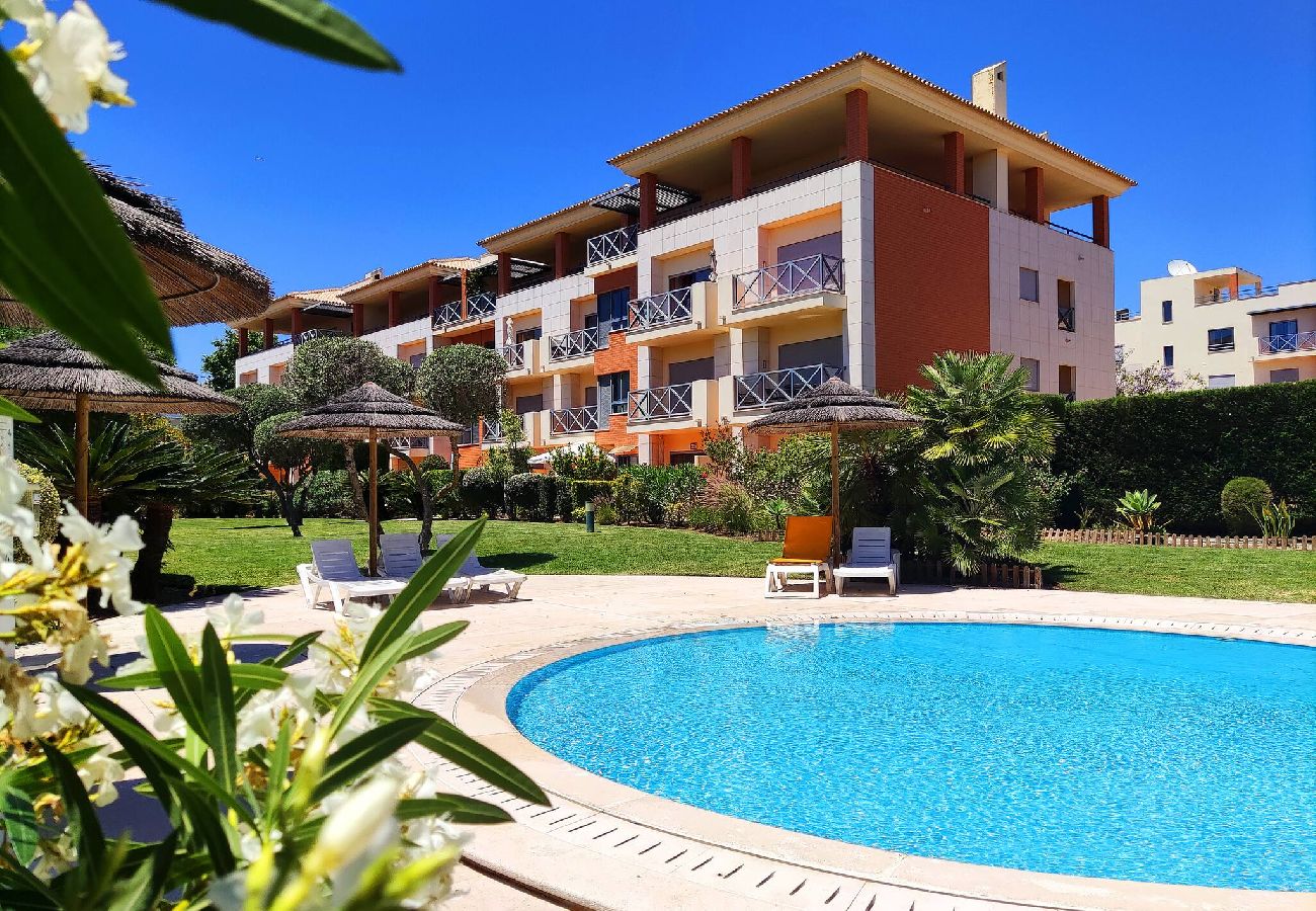 Apartment in Albufeira - Fabulous Sunny Pool&Garden Condo by BeCherish